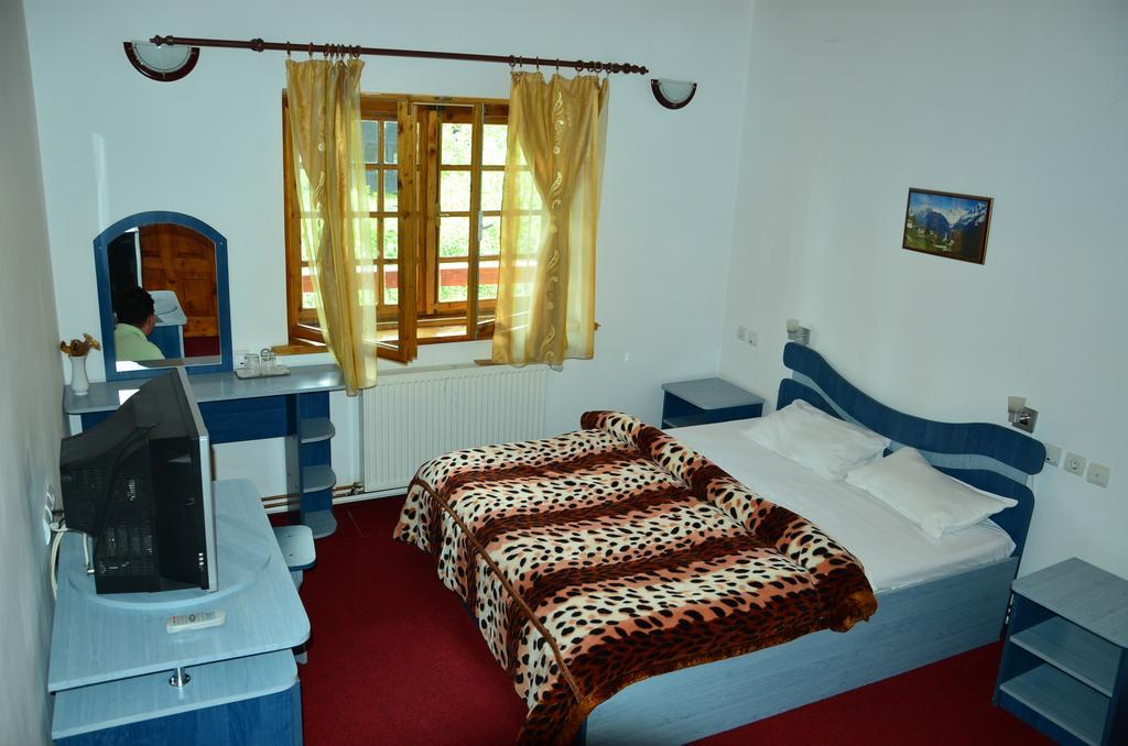 Pension Roni Busteni Room photo